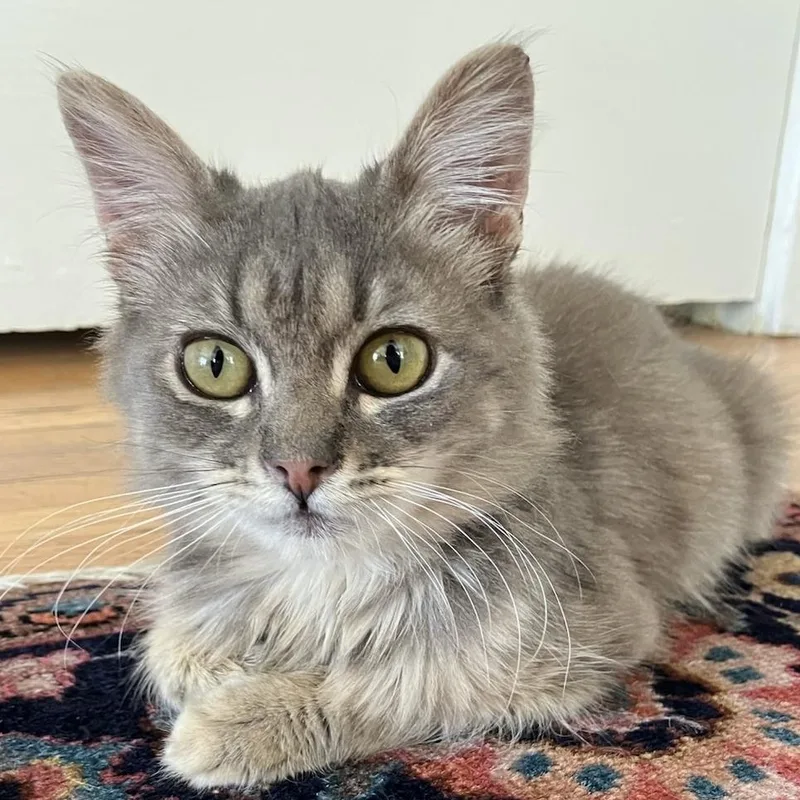 Svetlana thumbnail 4