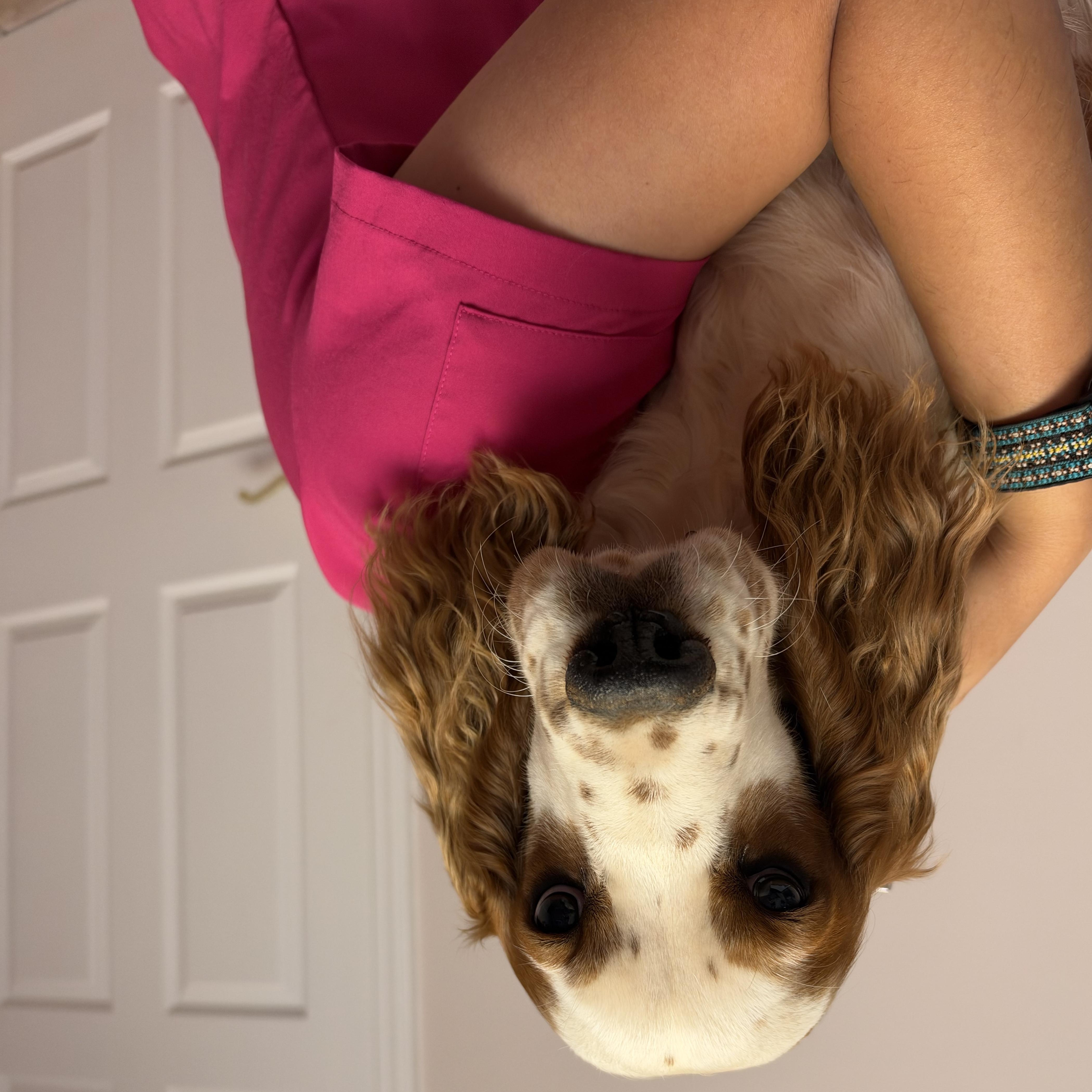 Walter thumbnail 4