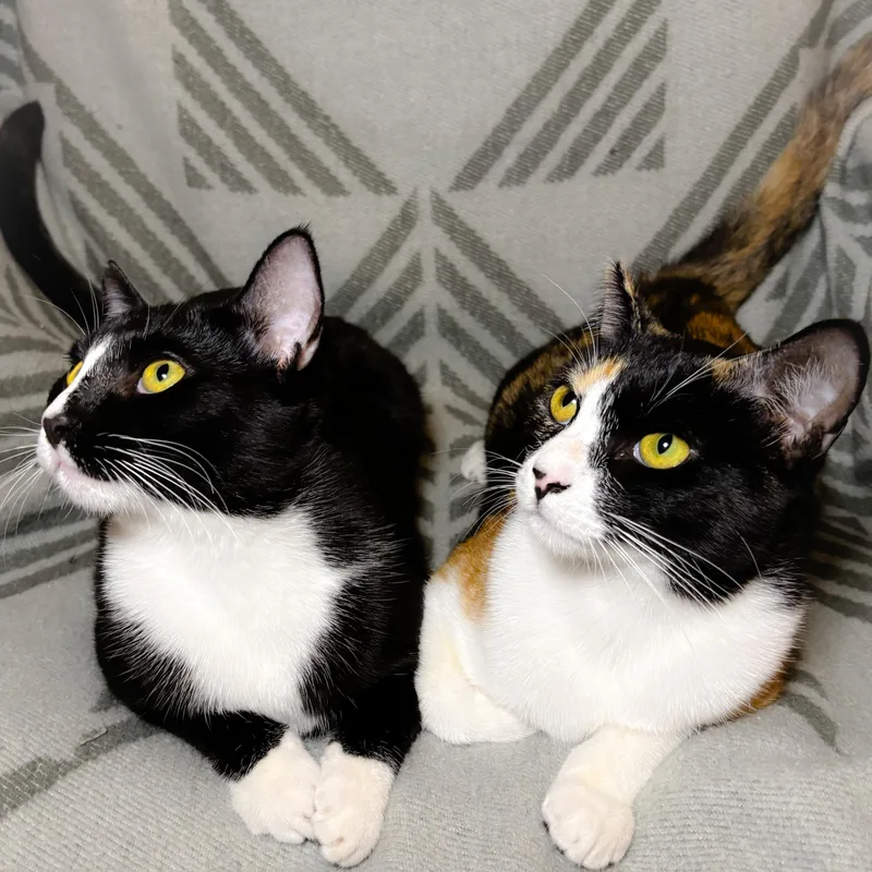 October And Friday thumbnail 2