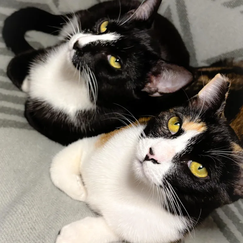 October And Friday thumbnail 3