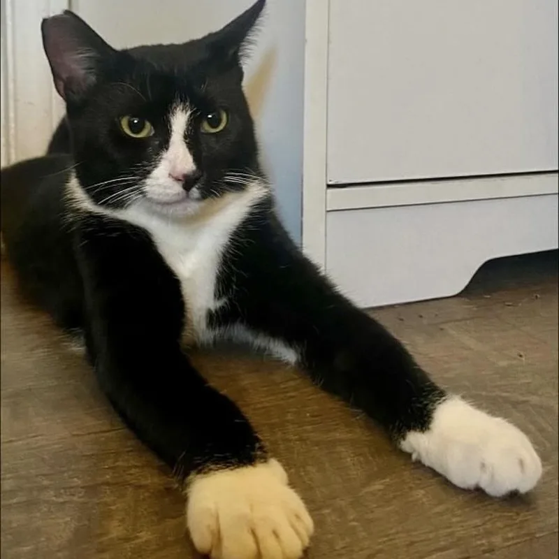 October And Friday thumbnail 4