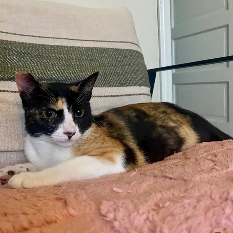 October And Friday thumbnail 5