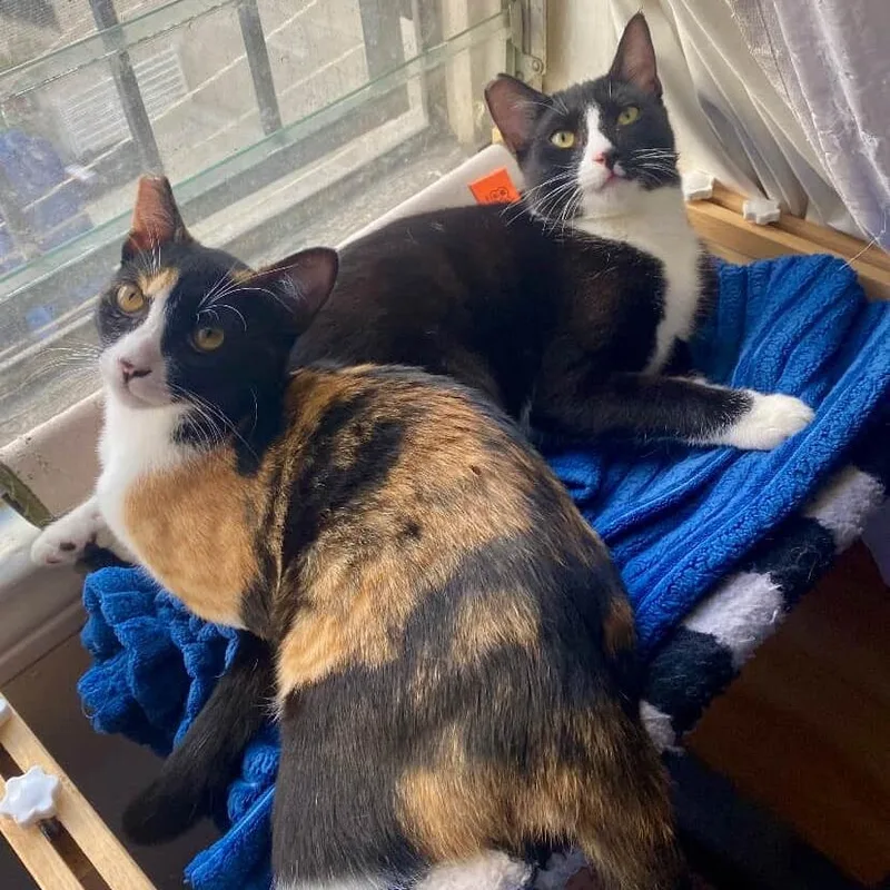 October And Friday thumbnail 6