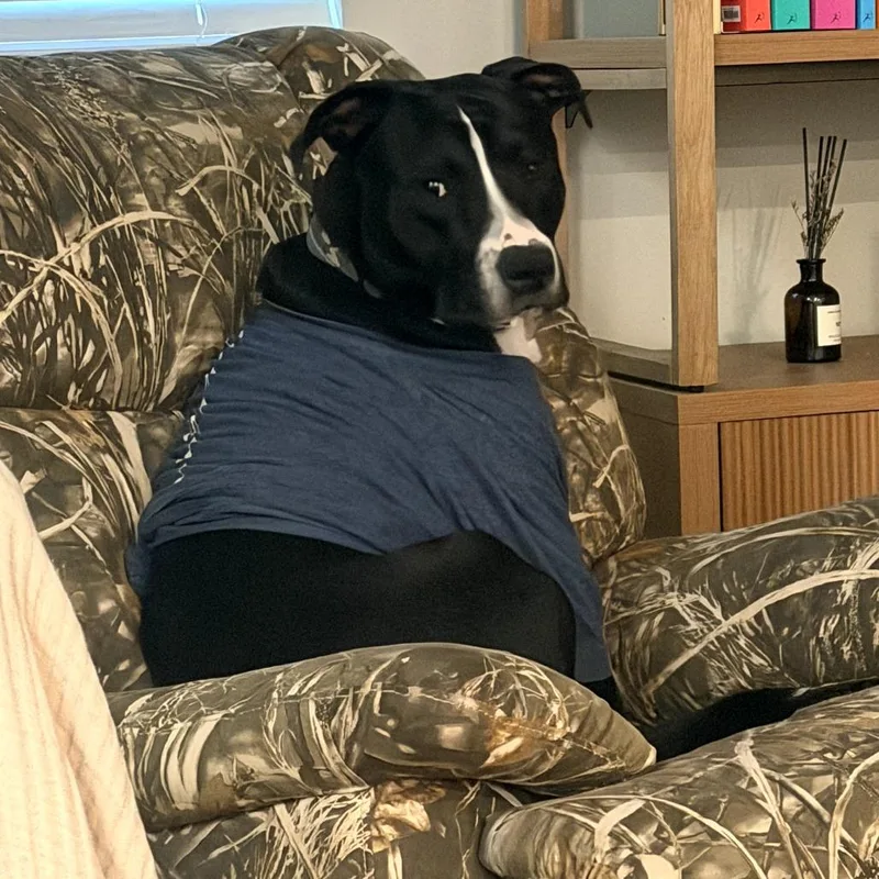 Doug