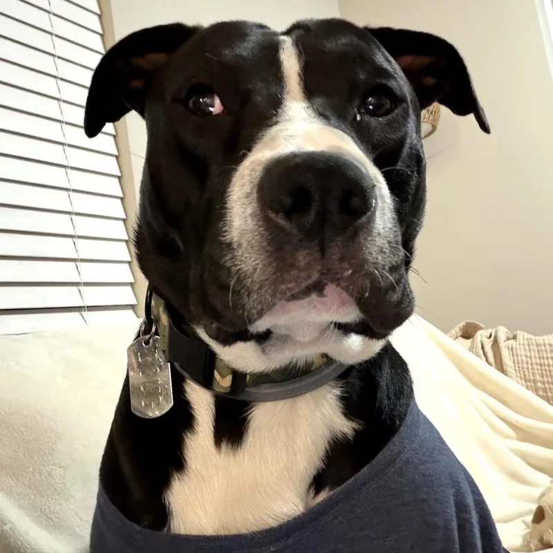 Doug thumbnail 2