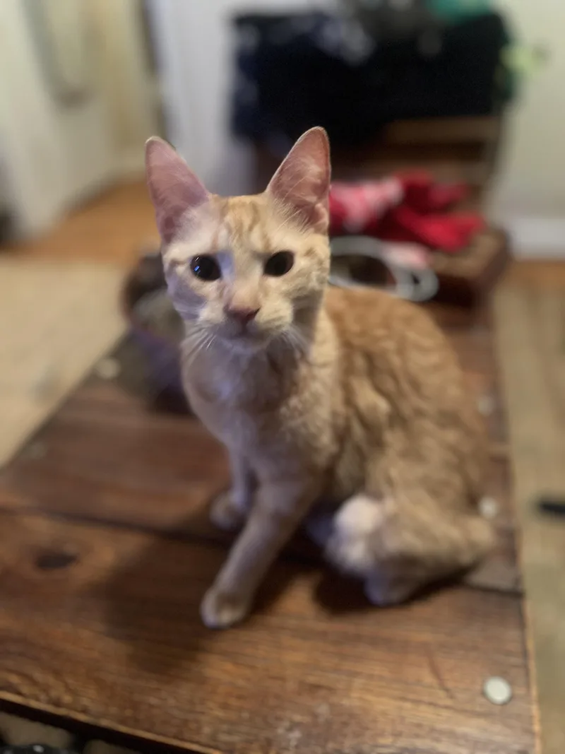 Fiona N.  Miracle thumbnail 4