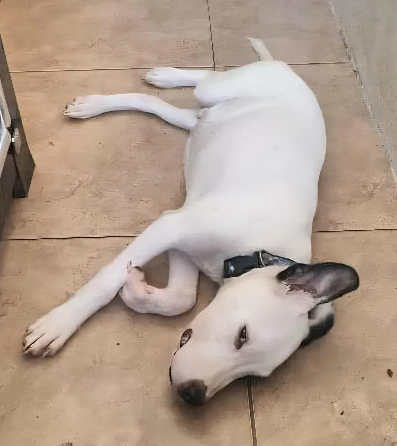 Friday "your Every Day thumbnail 2