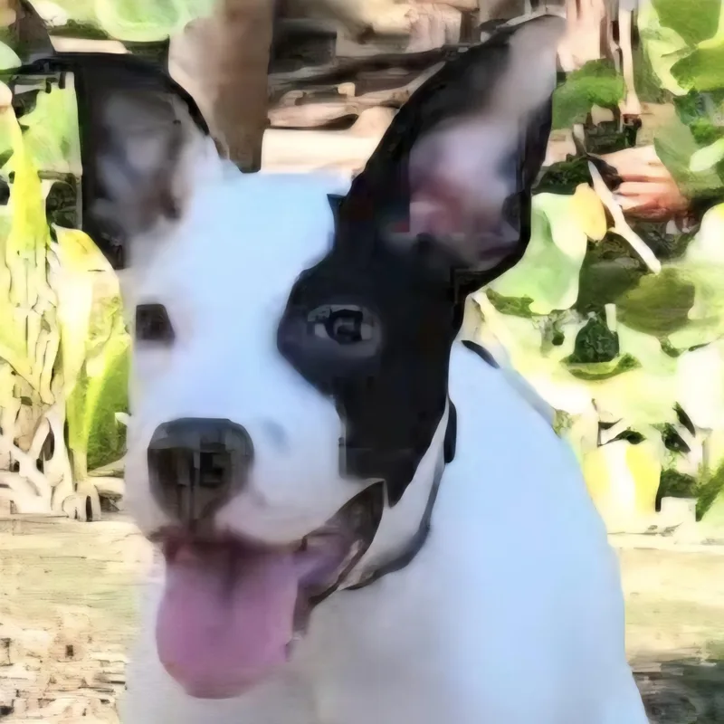 Friday "your Every Day