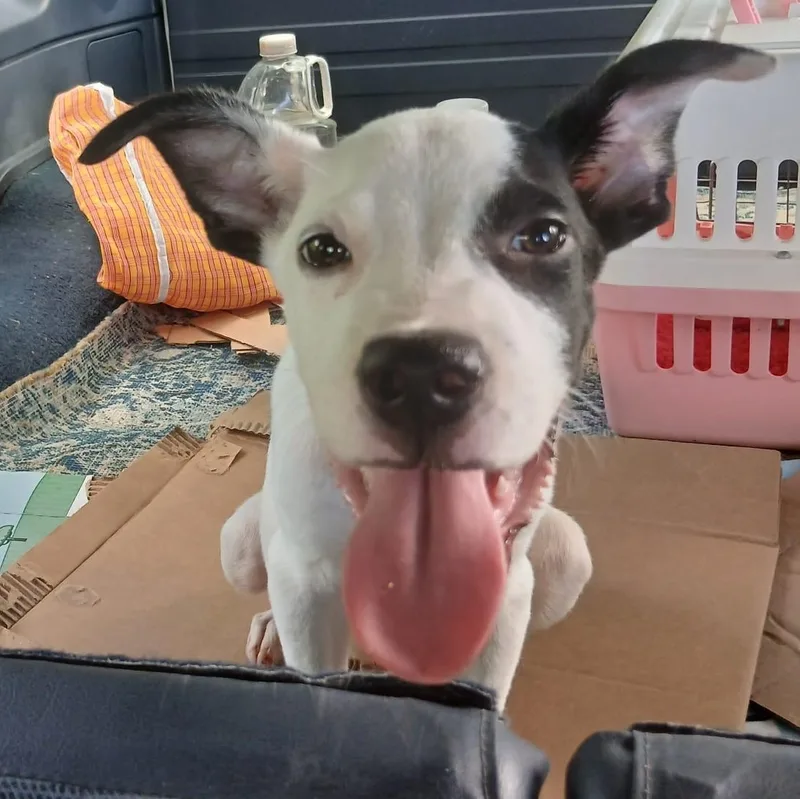 Friday "your Every Day thumbnail 3