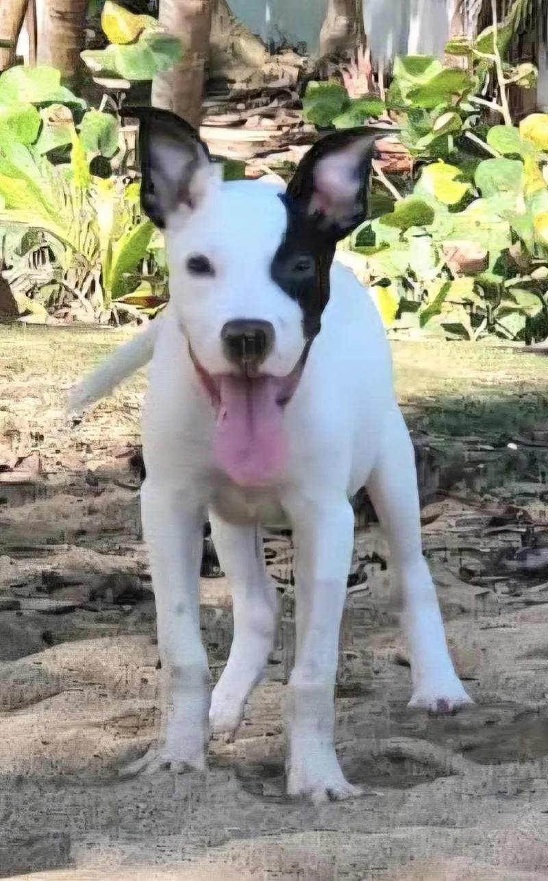 Friday "your Every Day thumbnail 4