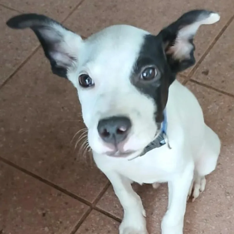 Friday "your Every Day thumbnail 5