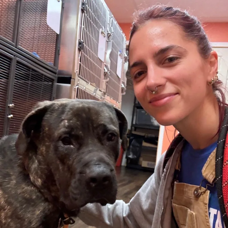 Role Model thumbnail 2