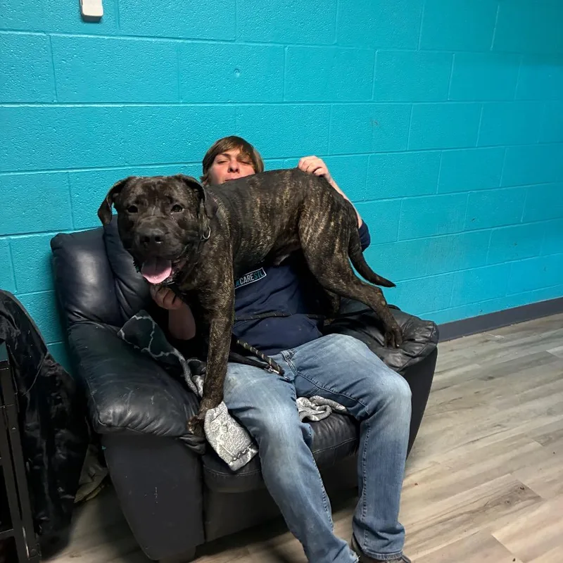 Role Model thumbnail 3