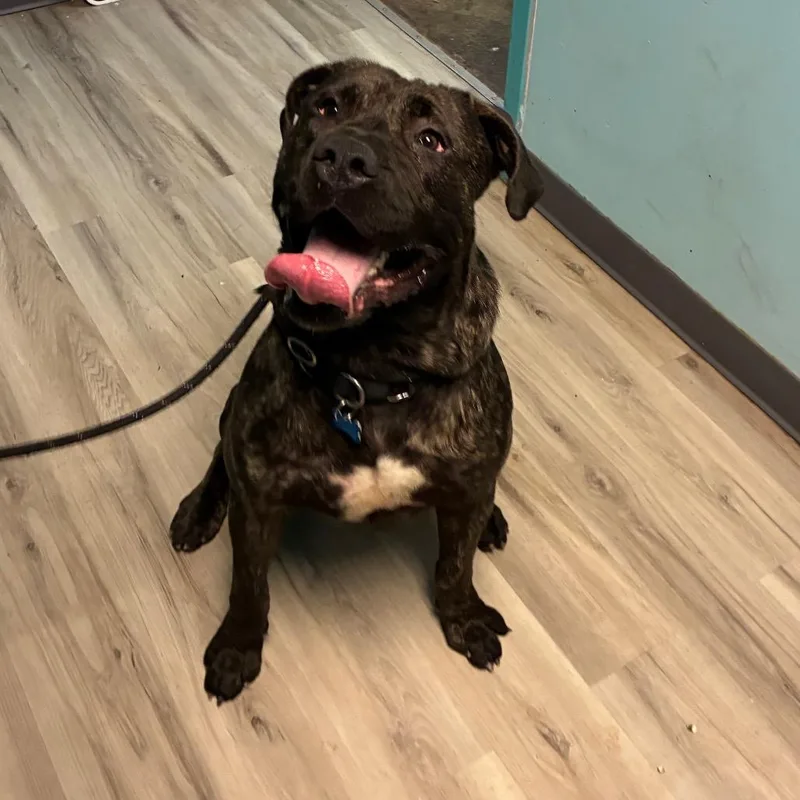 Role Model thumbnail 4