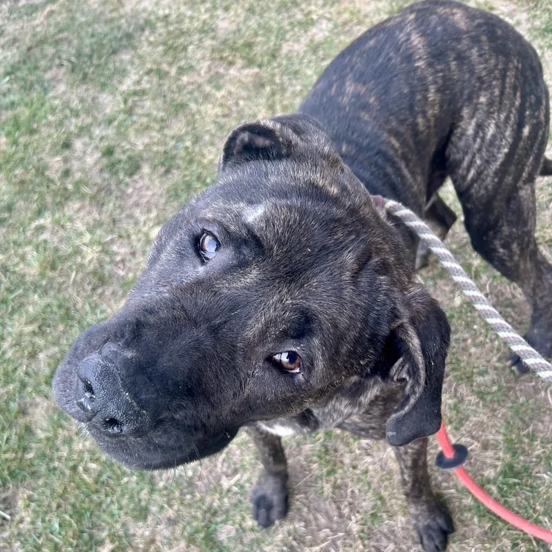 Role Model thumbnail 5