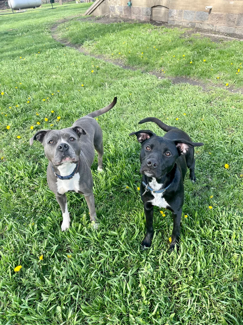 Eddiespecial Fee! thumbnail 2