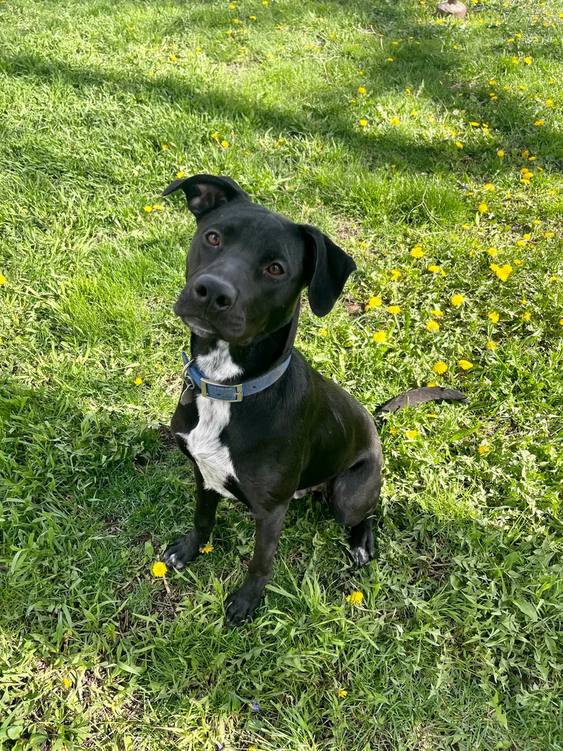 Eddiespecial Fee! thumbnail 3