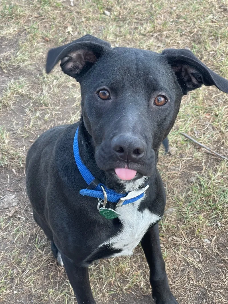 Eddiespecial Fee! thumbnail 4