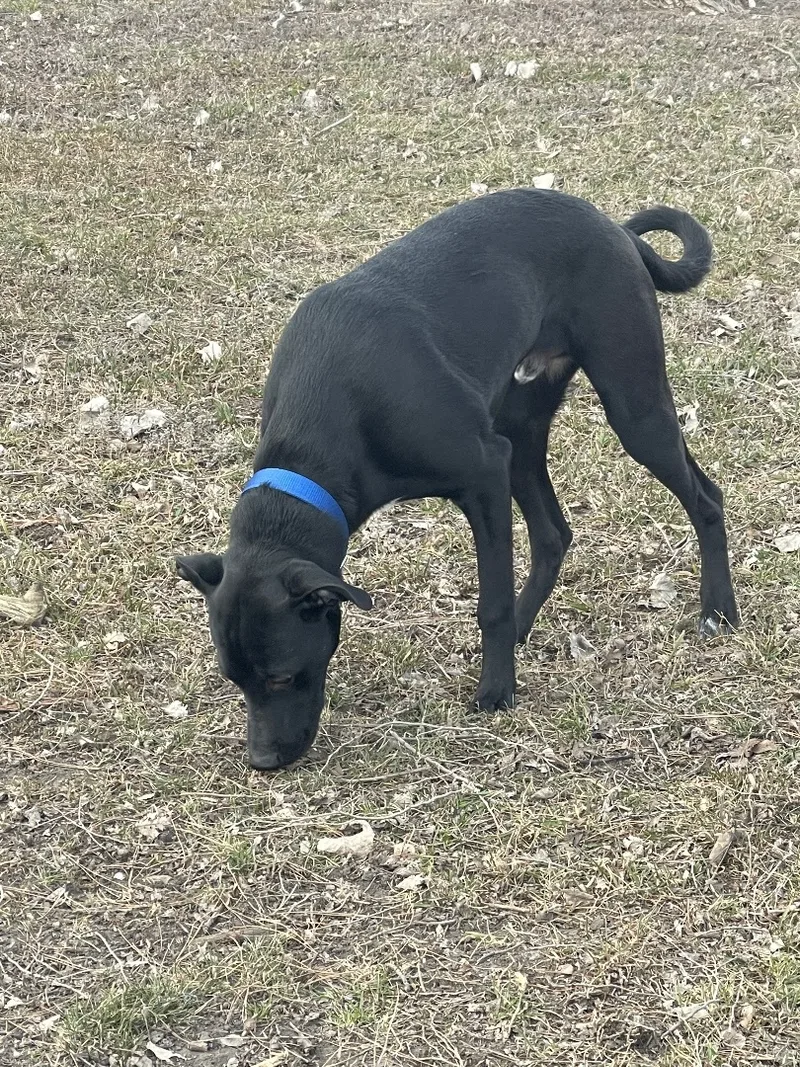 Eddiespecial Fee! thumbnail 5