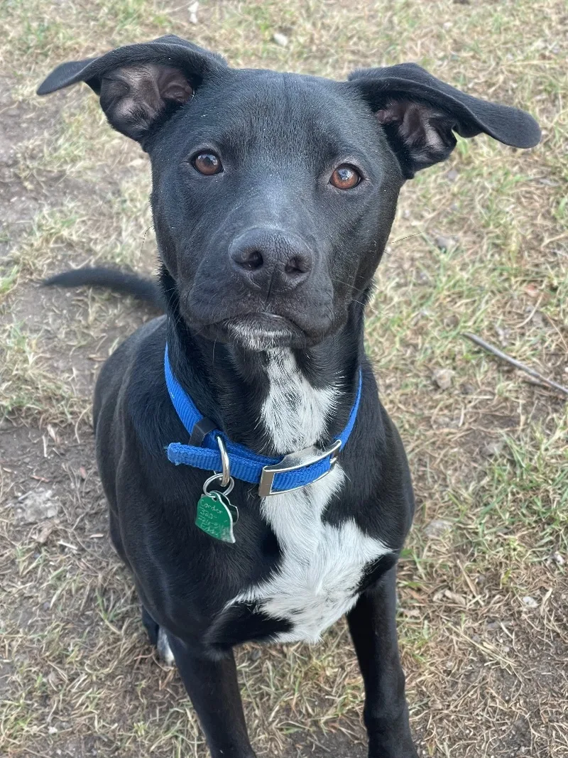 Eddiespecial Fee! thumbnail 6