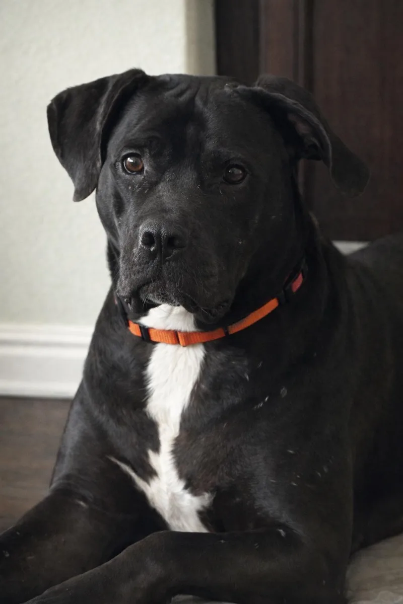 Babe Ruth thumbnail 2