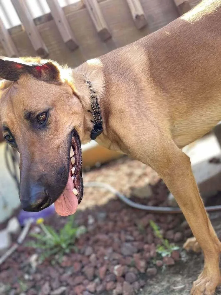 Mira  Located In thumbnail 4