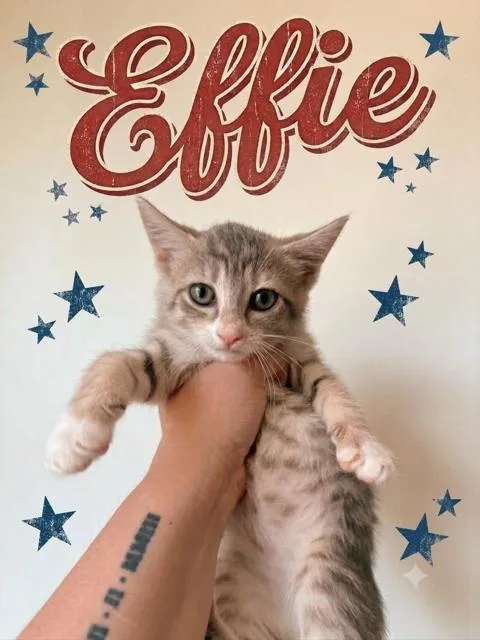 Effie  bonded with thumbnail 3
