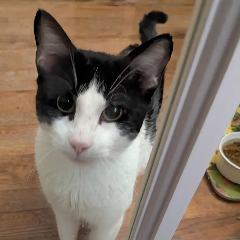 Gentle Jupiter thumbnail 3