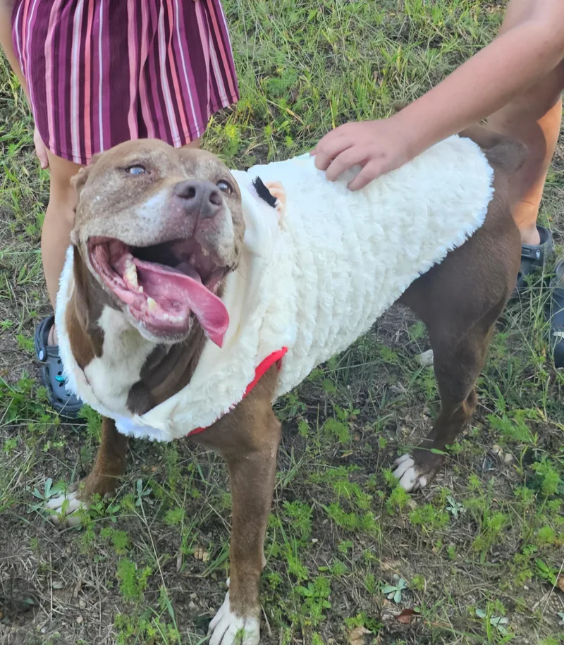 Charlotte thumbnail 2