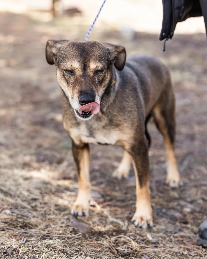 Brooklyn thumbnail 2