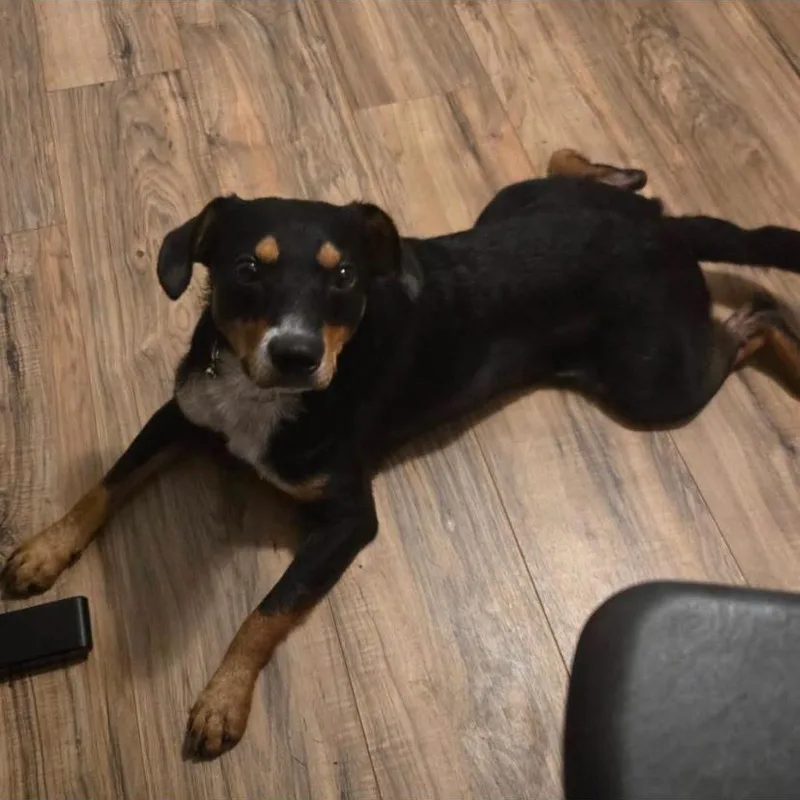 Riley thumbnail 2