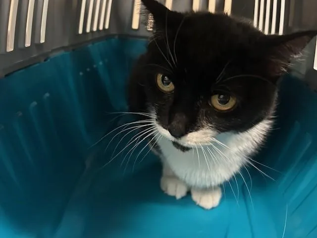 Baby Mimi