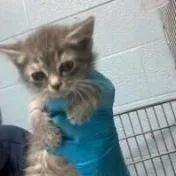 S&t: Tiny thumbnail 2