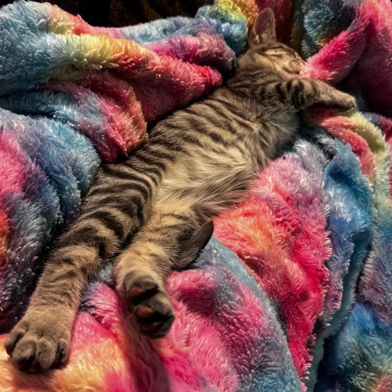 S&t: Tiny thumbnail 4