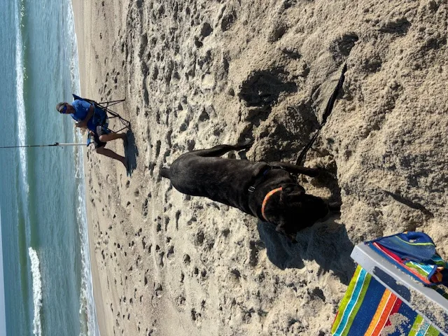 Petunia  Ct thumbnail 3