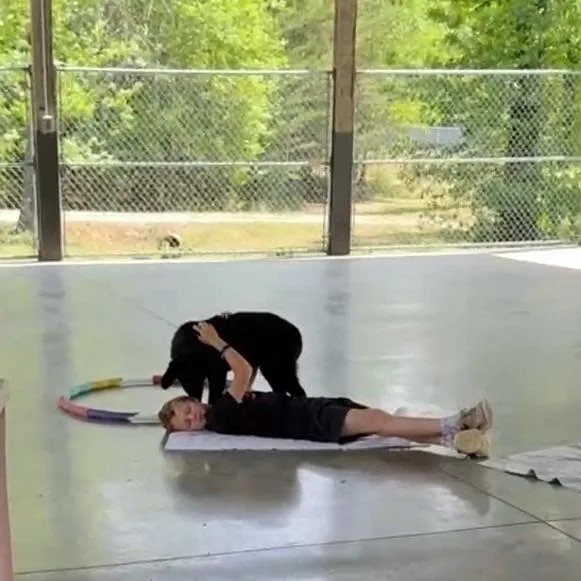 A baby medium-sized male Black Saint Bernard dog named Tonka for adoption in Columbus, NC