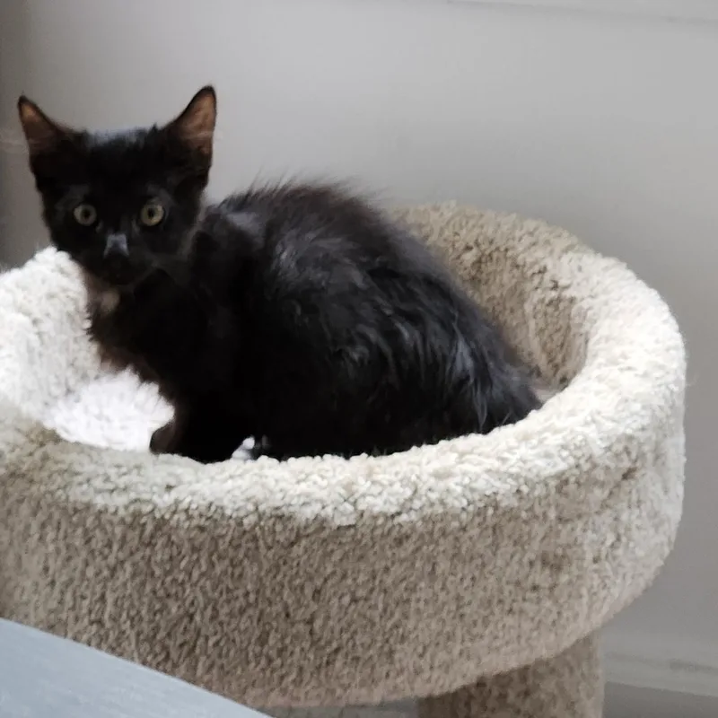 Baby hazel thumbnail 3