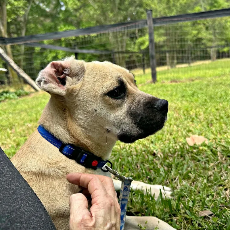 Cute Cuddly Cody thumbnail 5