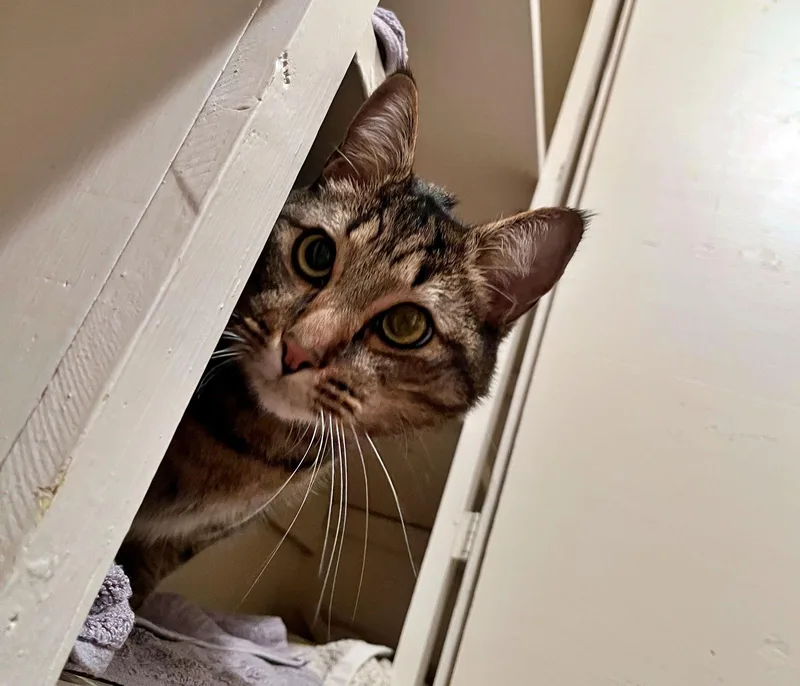 Tigger N Offered By thumbnail 2