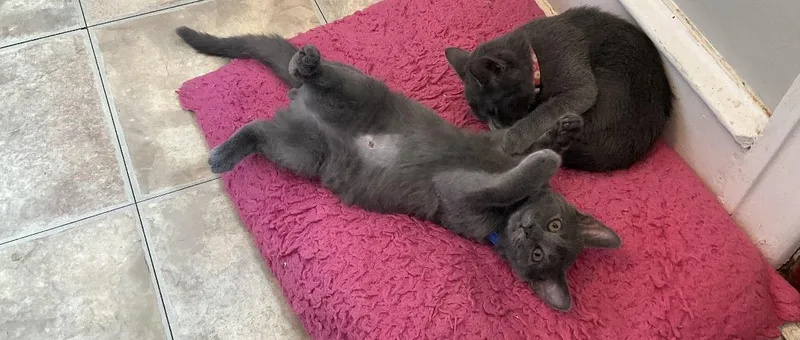 Derpy thumbnail 2