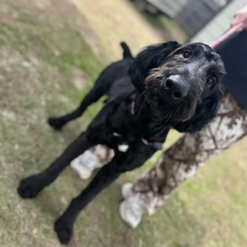 Cruz Terry thumbnail 2