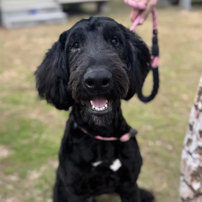 Cruz Terry thumbnail 3