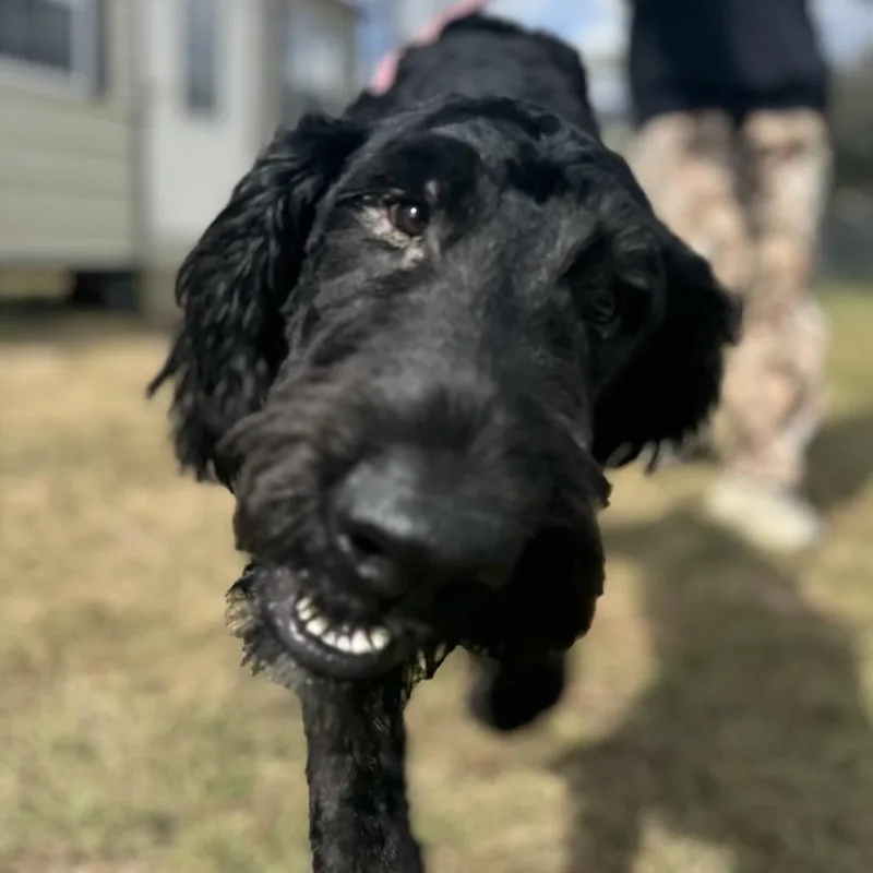 Cruz Terry thumbnail 4