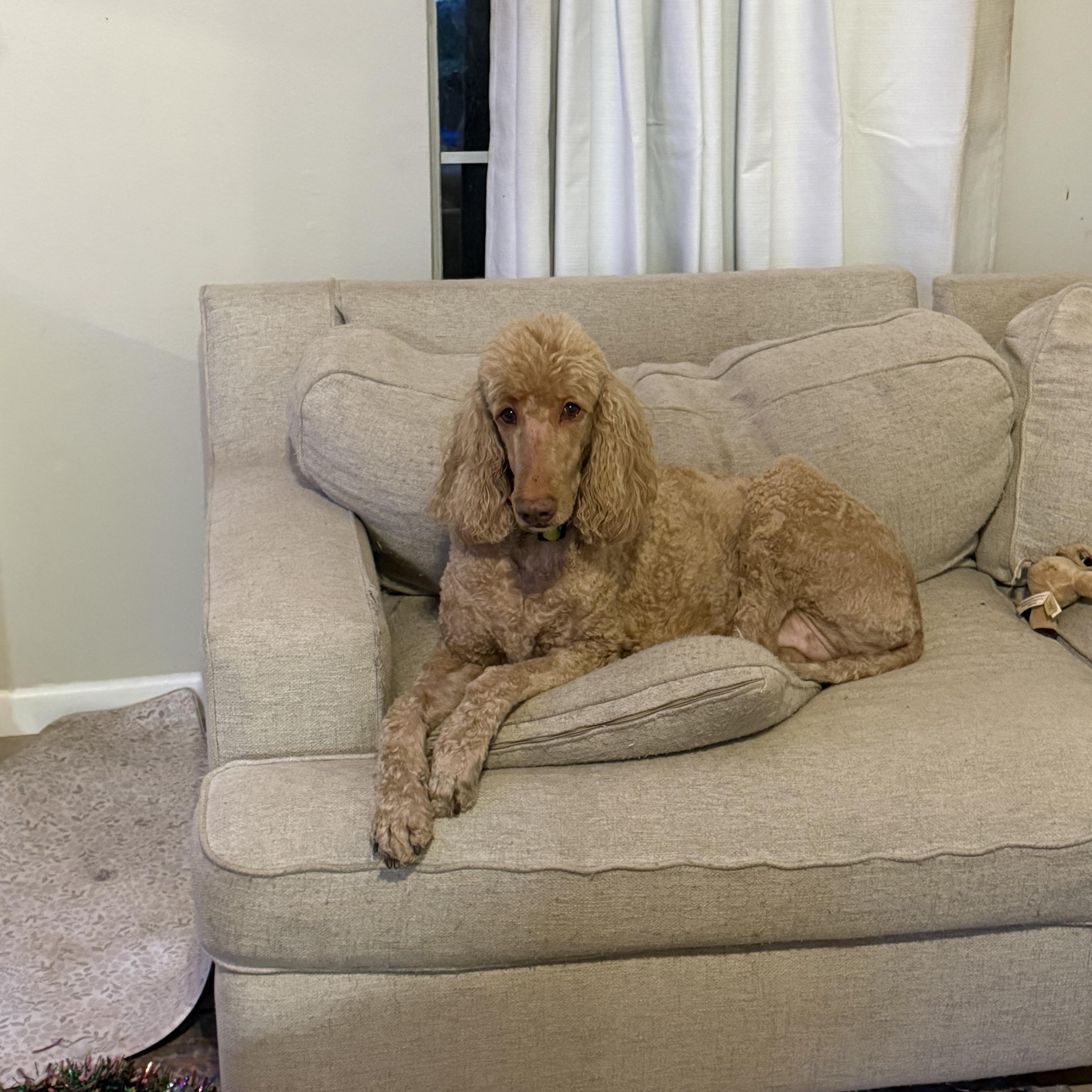Maggie thumbnail 3
