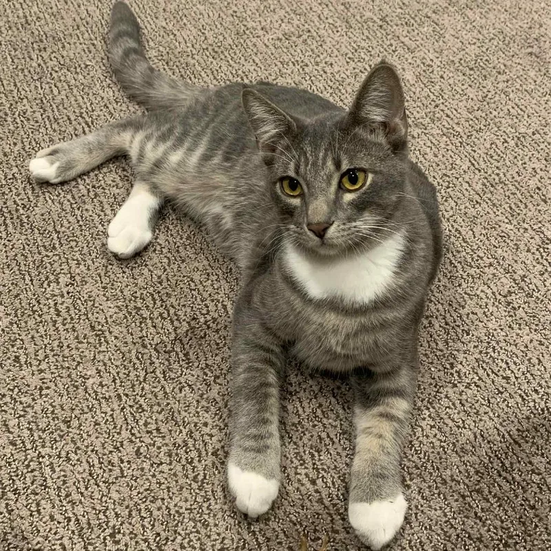 Marbles Orr thumbnail 2