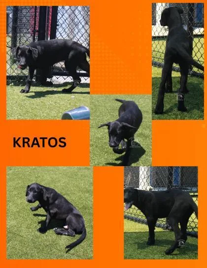 Kratos