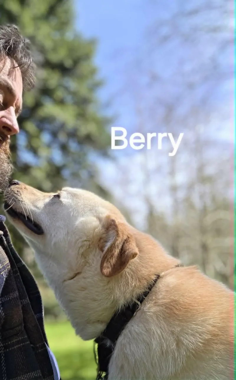 Berry "family Guy"  thumbnail 3