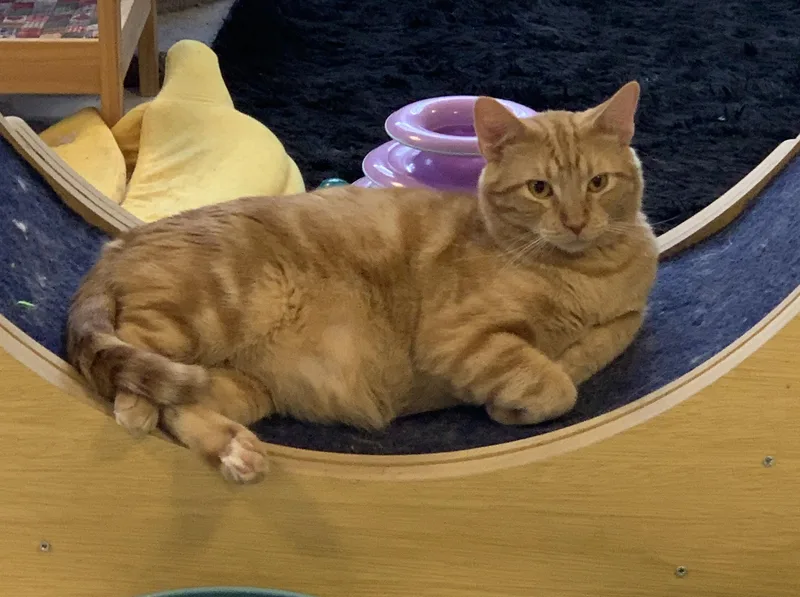 Sebastian thumbnail 2