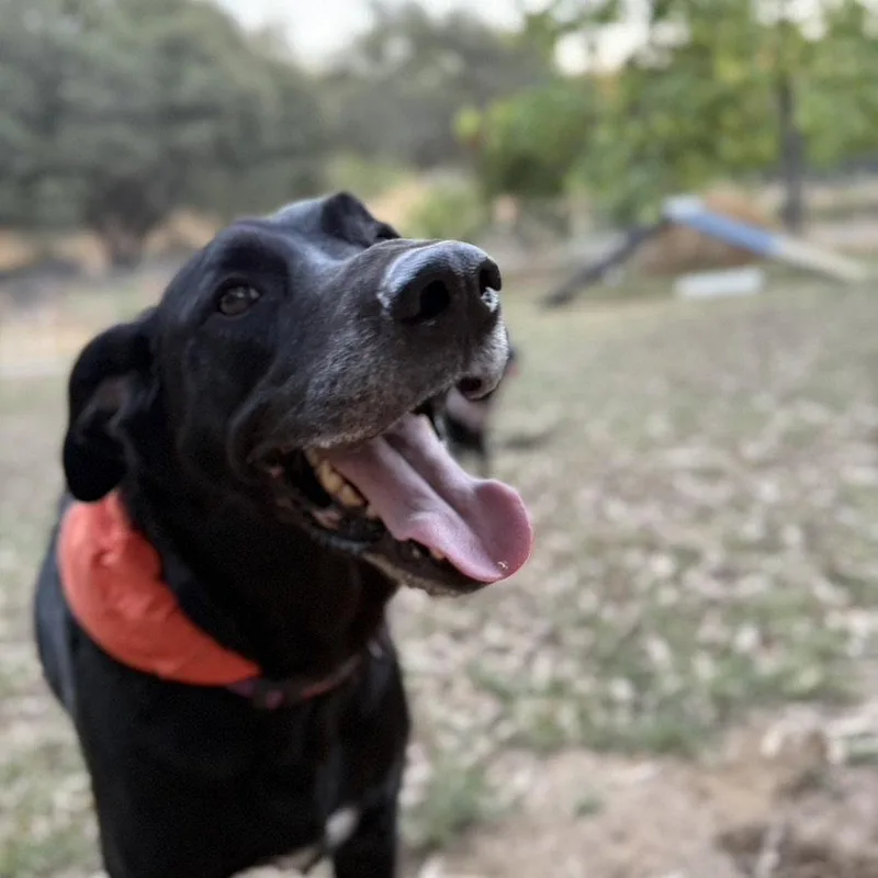 Jax