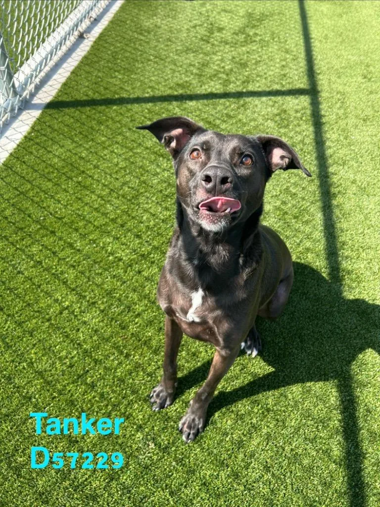 Tanker